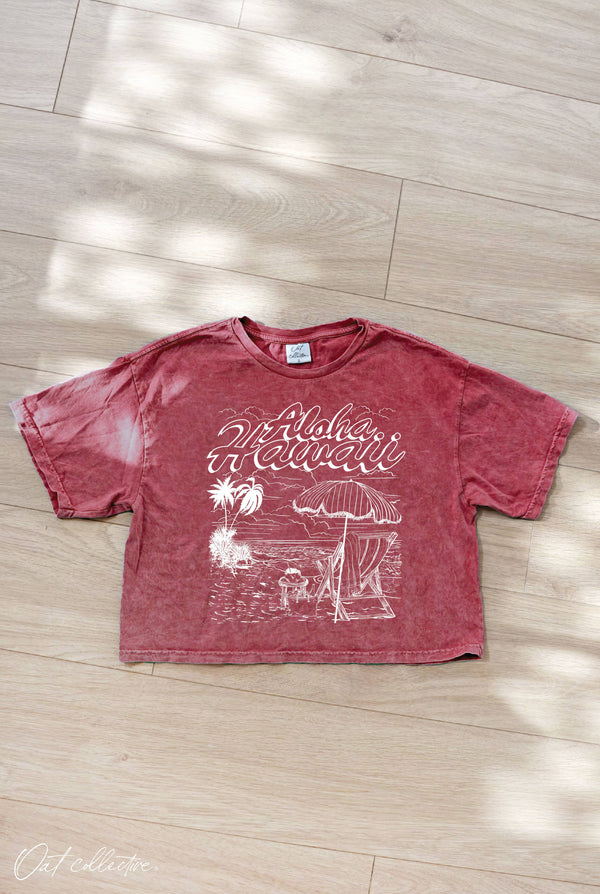 ALOHA HAWAII Cropped Mineral Graphic Top