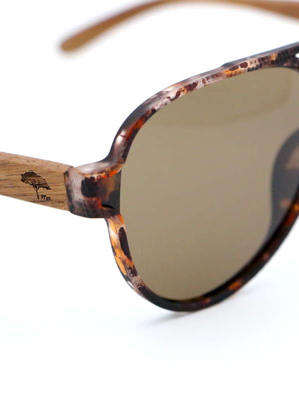 Aviator Koa Sunglasses - Brown Tortoise