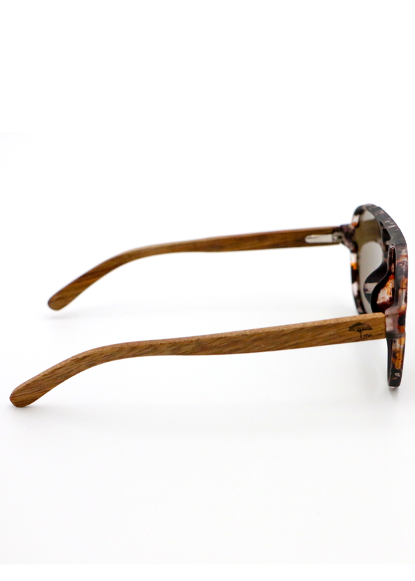 Aviator Koa Sunglasses - Brown Tortoise