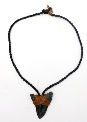 Black Megalodon Tooth Pendant