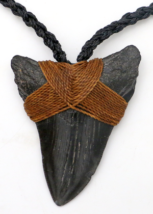 Black Megalodon Tooth Pendant