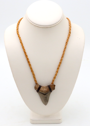 Tan Megalodon Shark Tooth Pendant Necklace
