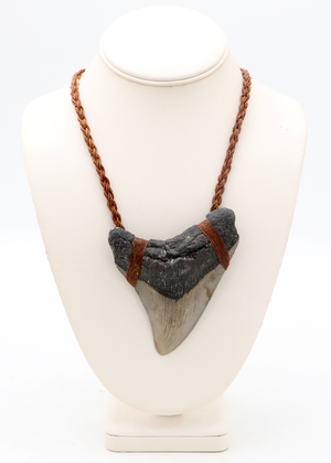 Large Megalodon Tooth Pendant Necklace