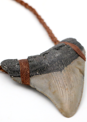 Large Megalodon Tooth Pendant Necklace
