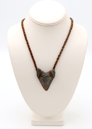 Megalodon Shark Tooth Pendent Necklace