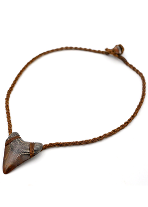 Megalodon Shark Tooth Pendent Necklace