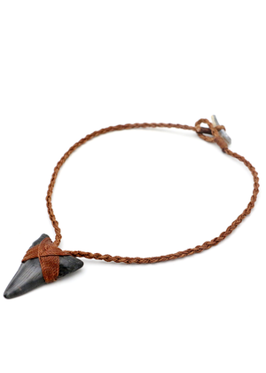 Black Megalodon Shark Tooth Pendent Necklace
