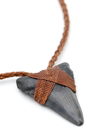 Black Megalodon Shark Tooth Pendent Necklace