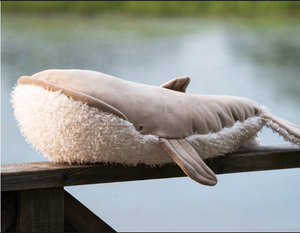 Olympus the Whale Plush Toy