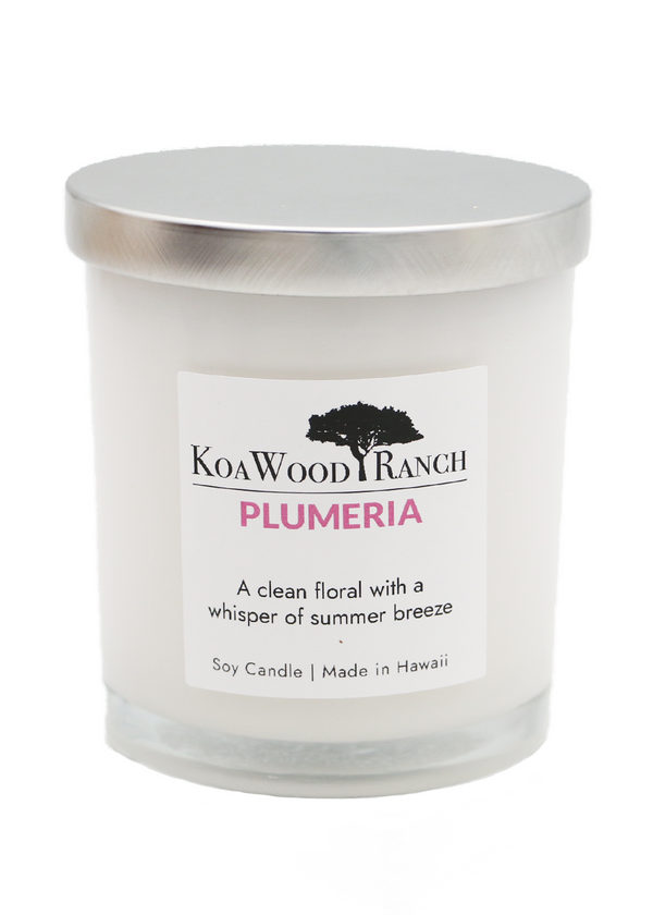 Plumeria soy candle 10 oz