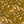 Fish - Mustard Gold