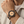 Aina Beige - Hawaiian Koa Watch