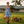 A woman in a blue and white floral dress walks on a grassy lawn carrying a basket of eggs, with several chickens beside her and a house in the background at sunset.