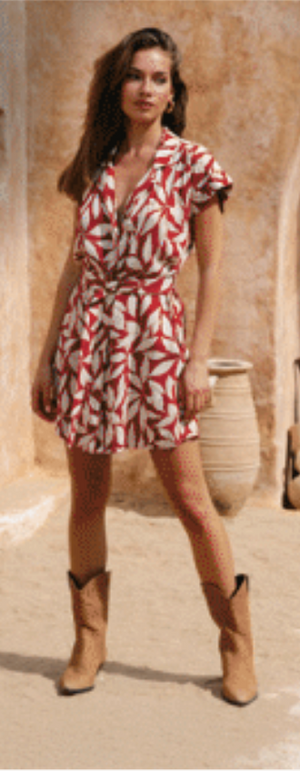 Aurora Mini Dress - Laleen Red