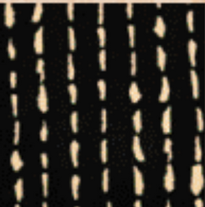 Haven Pant - Current Black