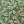 Leilani Maxi Dress - Lauris Green