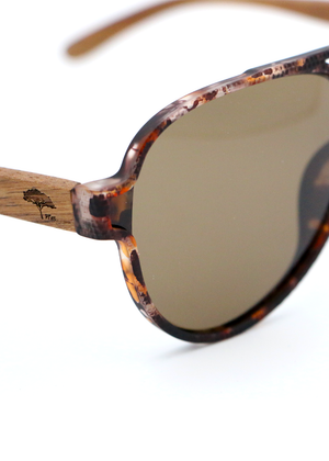 Aviator Koa Sunglasses - Brown Tortoise