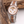 Koa Classic - Hawaiian Koa and Steel Watch