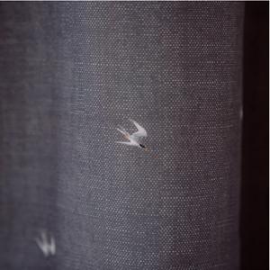 NEPTUNE BOARDSHIRT - Seabirds Charcoal