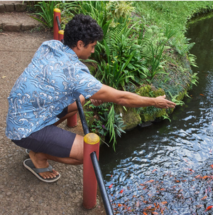 Koi Stream - Dusty Blue
