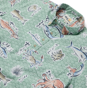 Pacific Catch - Granite Green