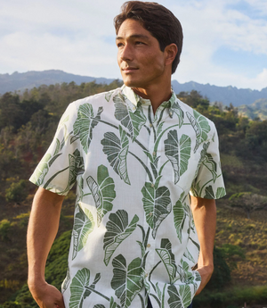 Trailing Taro - White