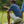 Blue Hawaii Performance Polo - Indigo