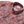Surf Break Performance Button Front - Canyon