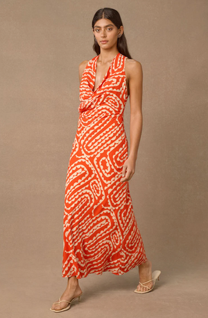 Tempo Print Maxi Dress
