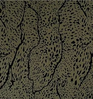 Lanis Top - Savanae Olive