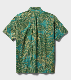 Forest Foliage - Green Sea