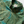 Forest Foliage - Green Sea
