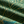 Forest Foliage - Green Sea