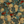 Kaniakapupu Aloha Shirt - Teal