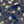 Ho’awa & ‘Alala Aloha Shirt - Navy