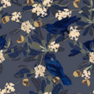 Ho’awa & ‘Alala Aloha Shirt - Navy