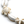 Sea Life Bone and Shell Adjustable Bracelet