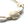 Sea Life Bone and Shell Adjustable Bracelet