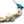 Sea Life Bone and Turquoise  Adjustable Bracelet