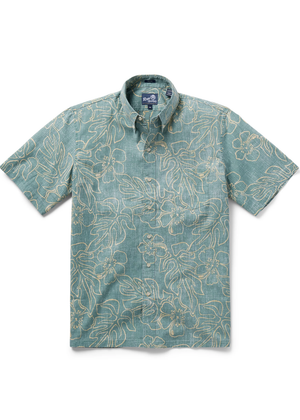 Monstera - Sagebrush