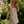 Dahlia Eyelet Mini Dress - Ivory