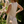 Dahlia Eyelet Mini Dress - Ivory