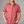 Surf Line Drawing Performance Polo - Red