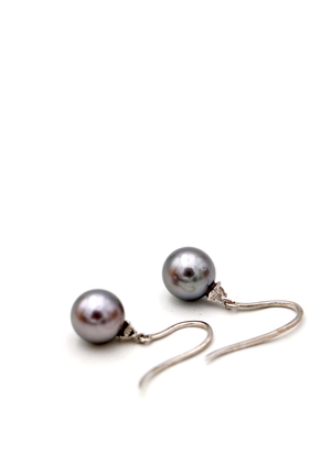 Tahitian Pearls on Ear wire Earrings
