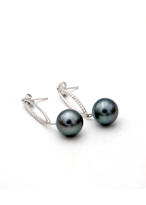 Tahitian Pearl OVAL Drop Earrings
