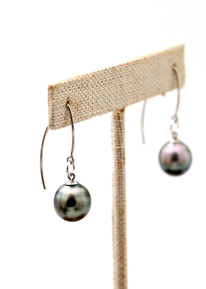 Tahitian Pearl on Stainless Small Hook Earrings