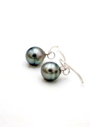 Tahitian Pearl on Stainless Small Hook Earrings