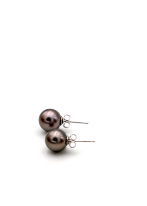Tahitian Pearl Stud Earrings - Medium