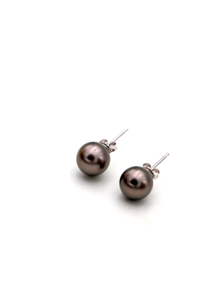 Tahitian Pearl Stud Earrings - Medium