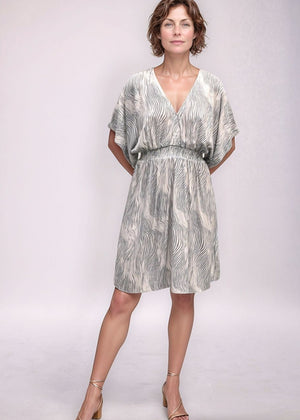 Flynn Dress - Zanzibar Silver